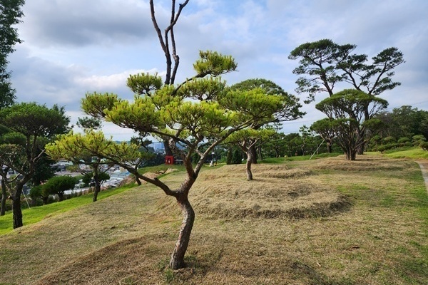 일산 자연애숲