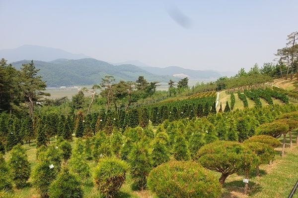 김포청솔수목장