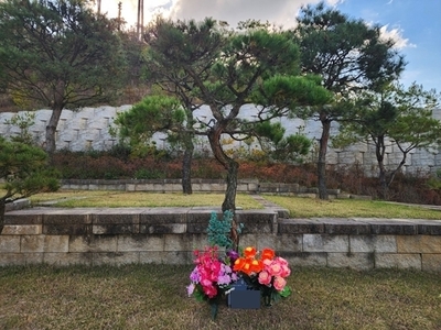 수목장